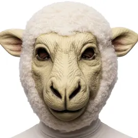 F&aring;remaske