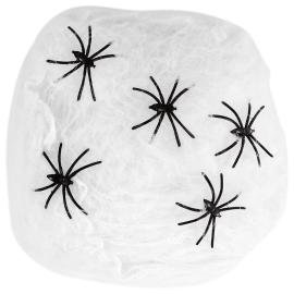 Spindelvæv med Edderkopper