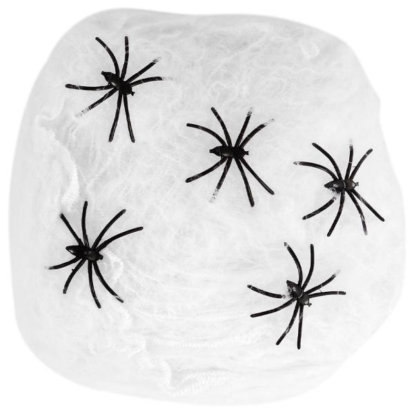 Spindelvæv med Edderkopper