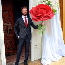 Gigantisk Rød Rose
