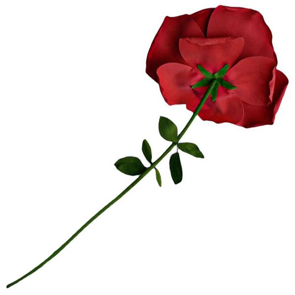 Gigantisk Rød Rose