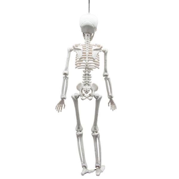 Hængende Bøjeligt Skelet Prop