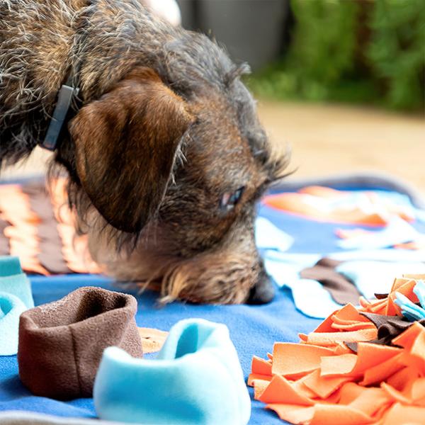 Snusemåtte til Hund