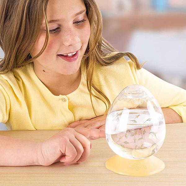 Aqua Dragons Eggspress Sæt
