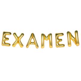Ballonguirlande Examen Guld