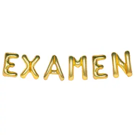 Ballonguirlande Examen Guld