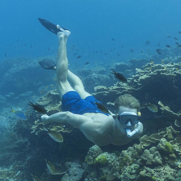 Snorkelsæt med Svømmefinner Spark Wave