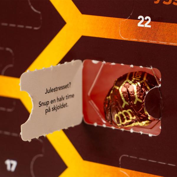 Toms Julekalender Skildpadder