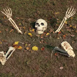 Halloween Dekoration Skelet