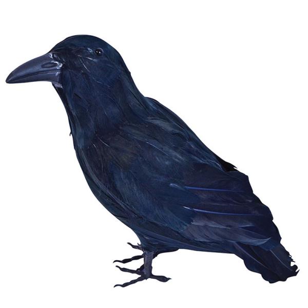 Stor Fjer Ravn Sort