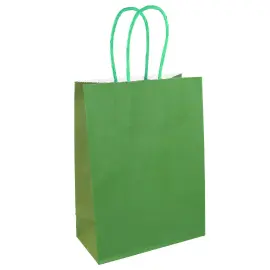 Festpose med Håndtag Grøn