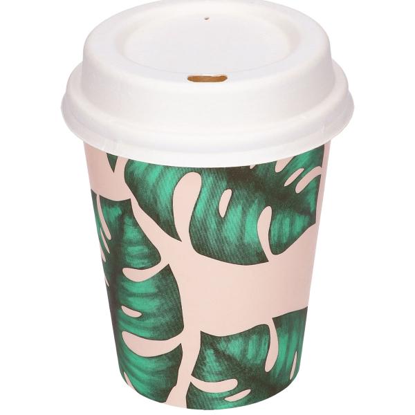 Papkrus Monstera 23 cl 25-pak