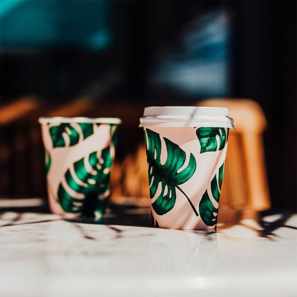 Papkrus Monstera 23 cl 25-pak