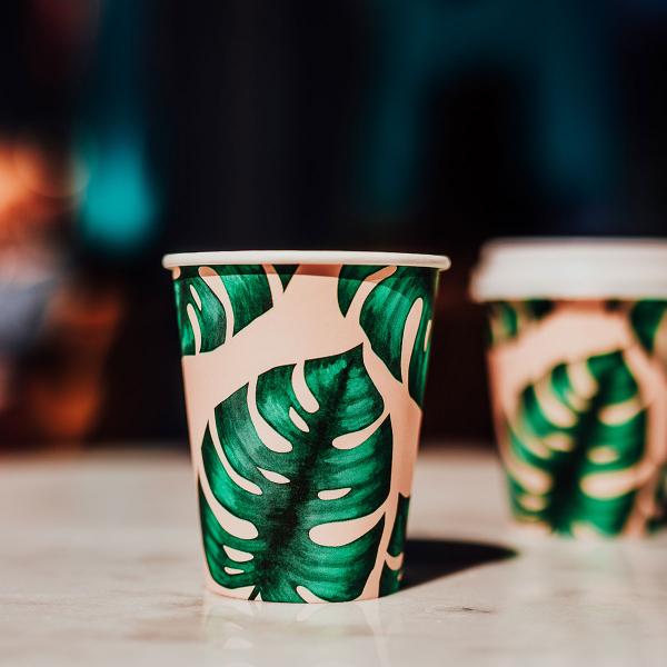 Papkrus Monstera 23 cl 25-pak