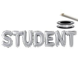 Ballonguirlande Student Sølv