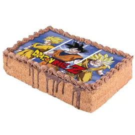 Dragon Ball Rektangul&aelig;rt Kageprint