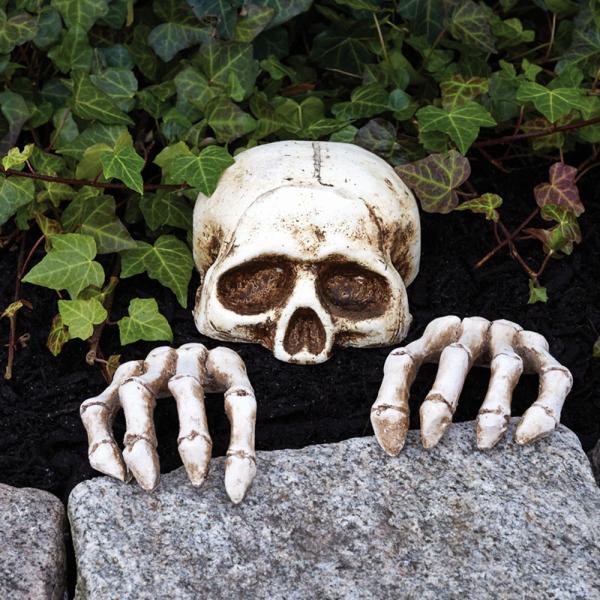 Skelet Peeker Dekoration