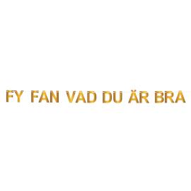 Guirlande Fy Fan Vad Du &Auml;r Bra Guld 5 m