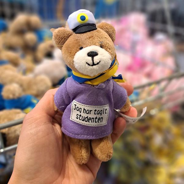 Studenterbamse Bjørn med Hættetrøje 16 cm