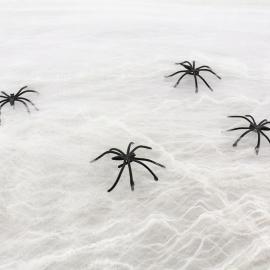 Spindelv&aelig;v Hvid