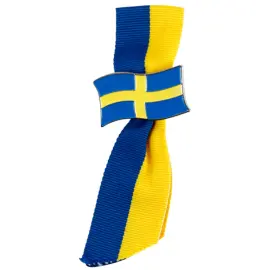 Broche med B&aring;nd Sverige