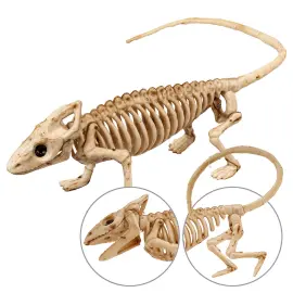 Iguana Skelet Dekoration