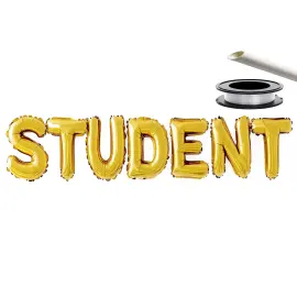 Ballonguirlande Student Guld