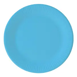 Blå Paptallerkener Solid Color